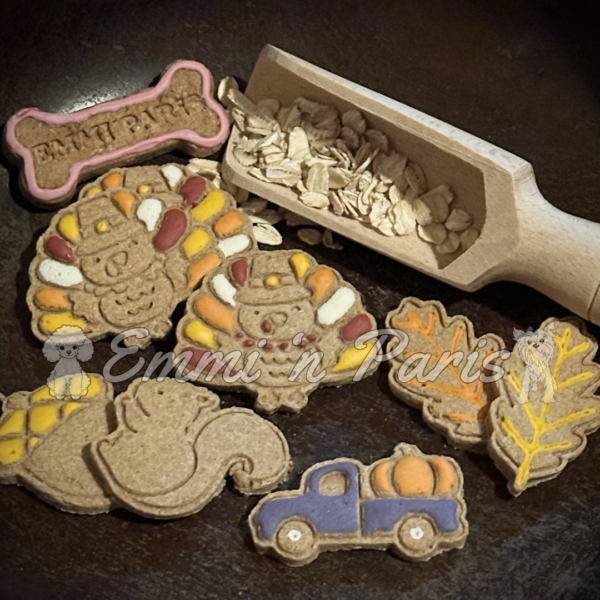 Thanksgiving Cookies