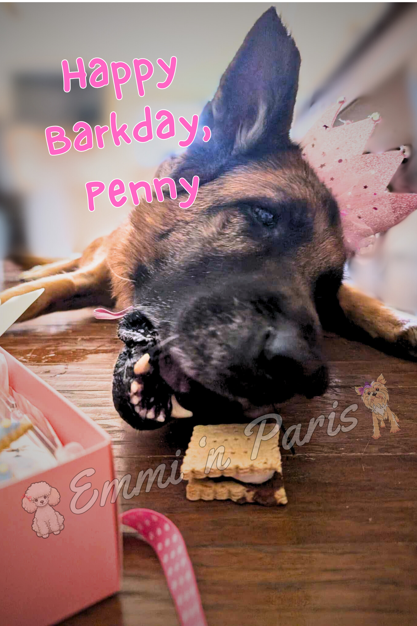Happy Barkday Box - Image 4