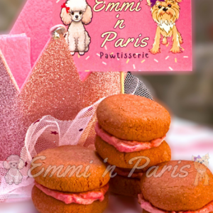 Macarons for Dogs