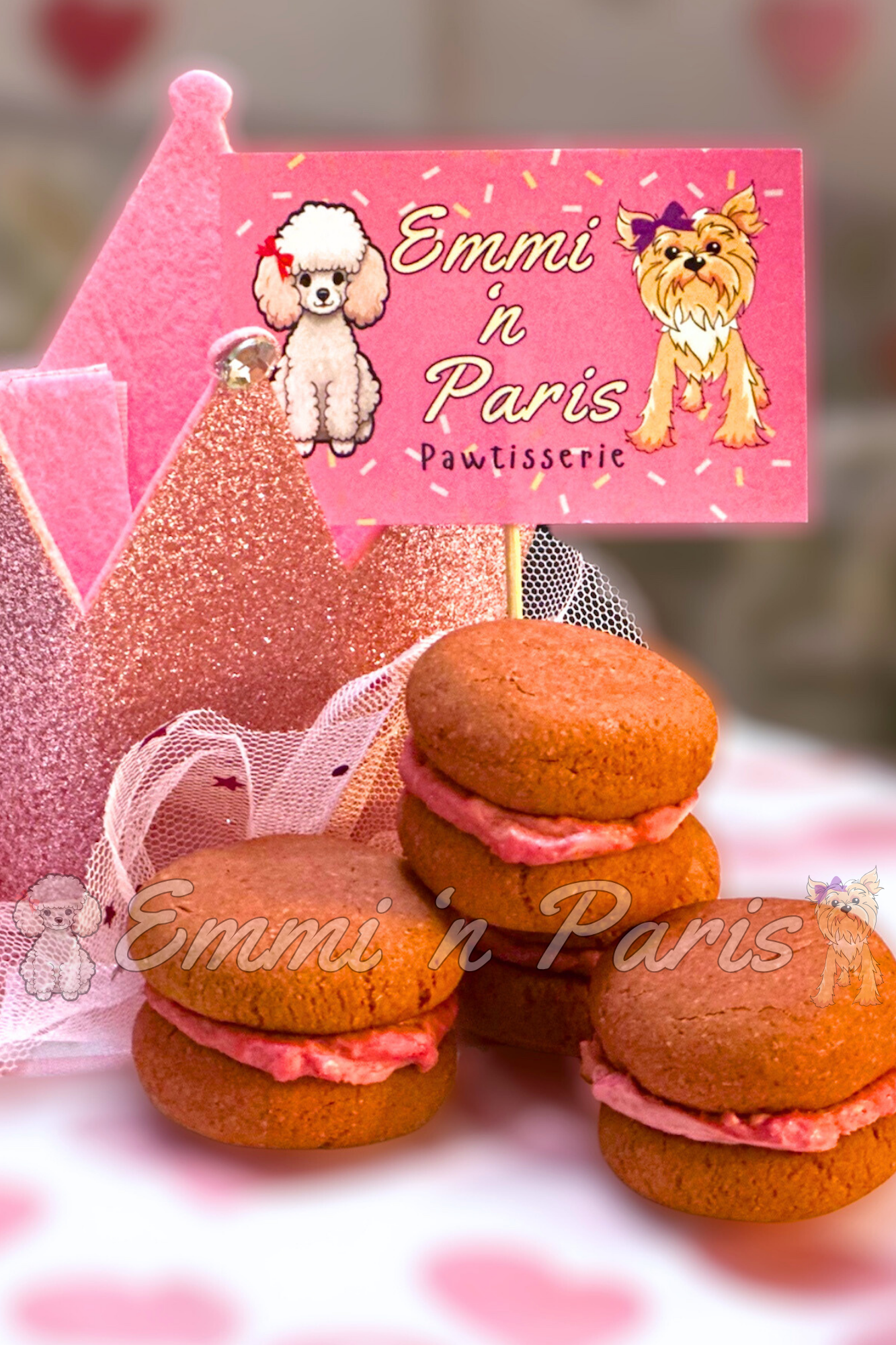 Macarons for Dogs