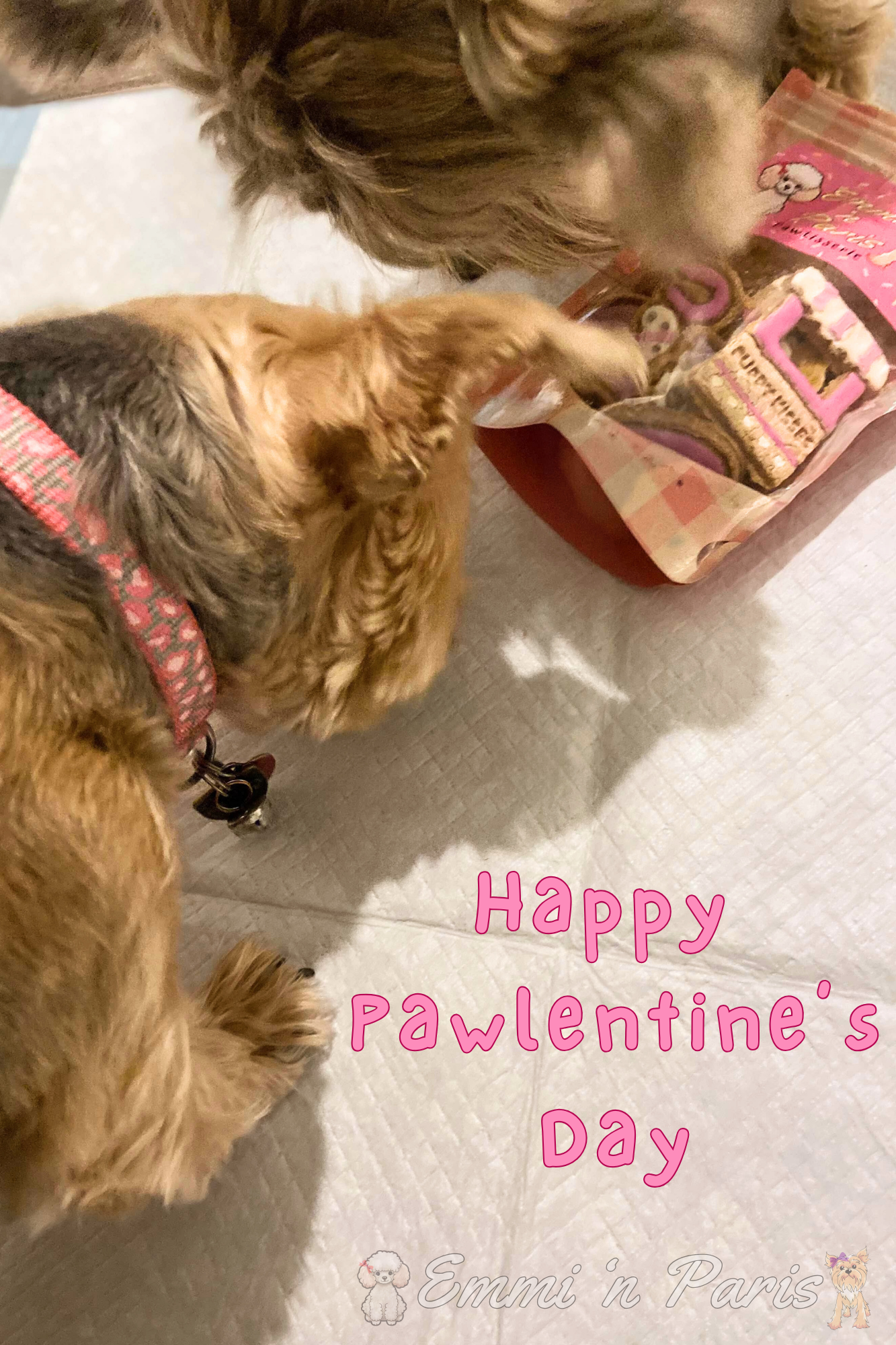 'Paw'lentine Cookies - Image 8