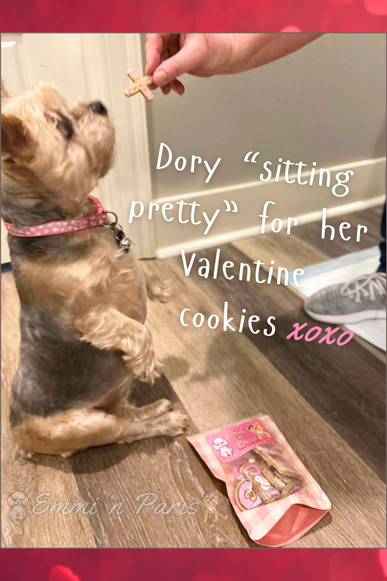 'Paw'lentine Cookies - Image 2