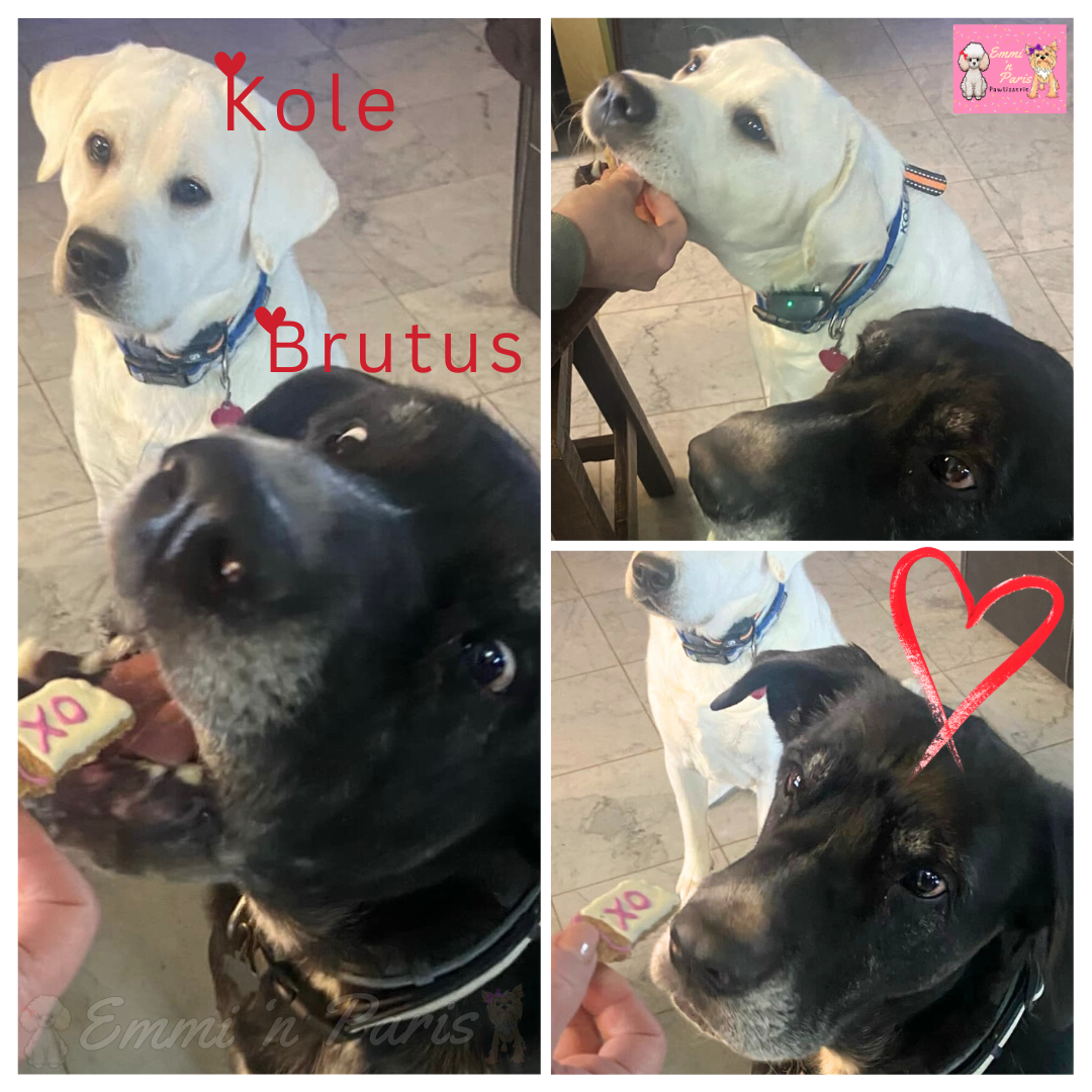 'Paw'lentine Cookies - Image 4