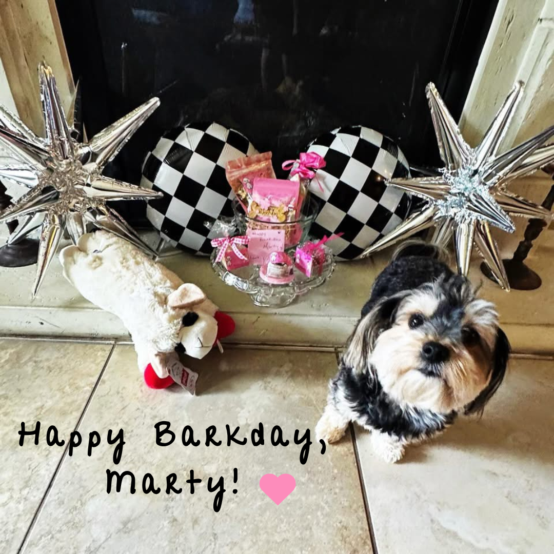 Happy Barkday Box - Image 2